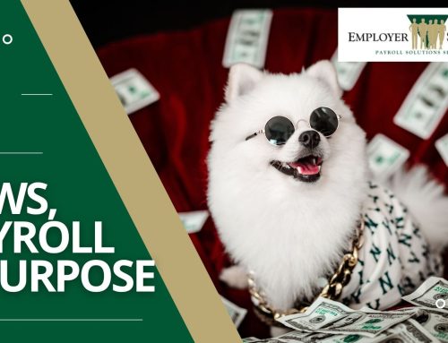 Loyal Partners in Business and Life: Honoring Adopt a Shelter Dog Month